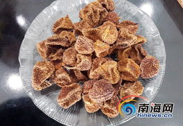 陸僑珍稀無核荔枝干將首次亮相海南第一年貨展