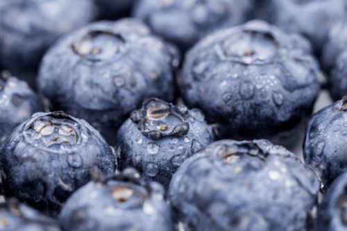 先睹為快 速看第十三屆亞果會都有哪些優質果品